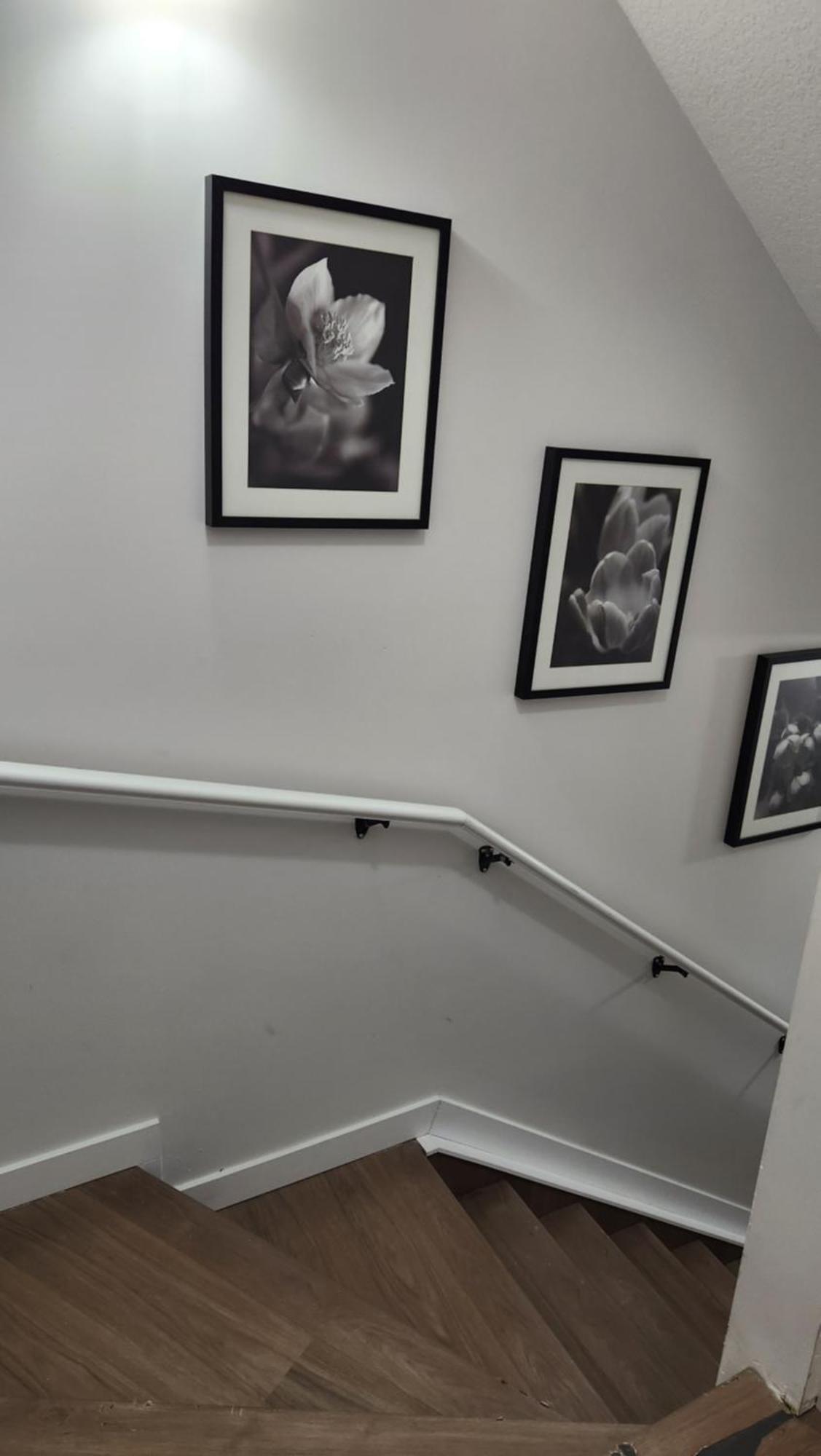 Modern 2 Bedroom Basement Suite At West Edmonton Extérieur photo